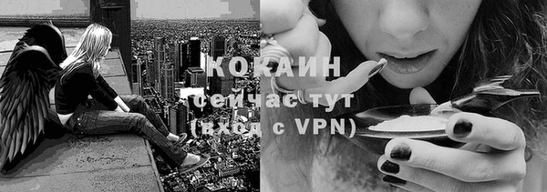 гидропоника Абаза