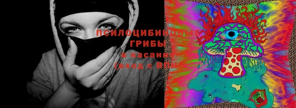 гидропоника Абаза